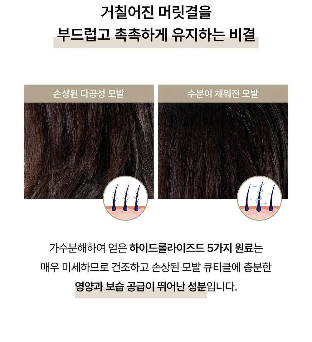 [탈모증상완화] 애쉬로렌 독일 맥주효모 샴푸&트리트먼트 500ml 2종 택1 상세페이지 46